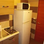 Rent 1 bedroom apartment in Bologna