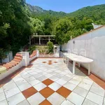 Rent 3 bedroom apartment of 60 m² in San Felice Circeo