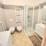 Rent 1 bedroom apartment of 30 m² in Pedrengo