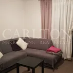 Rent 3 bedroom apartment of 61 m² in Zagreb