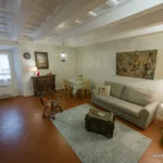 Rent 1 bedroom apartment of 45 m² in Florence