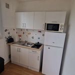 Rent 1 bedroom apartment of 28 m² in Le Mans