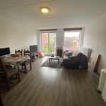 Rent 1 bedroom apartment of 40 m² in Groningen