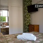 Rent 1 bedroom apartment in Milan