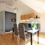 Rent 3 bedroom apartment of 74 m² in Praha