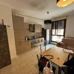 Rent 2 bedroom apartment of 45 m² in Firenze