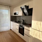 Rent 2 bedroom apartment of 95 m² in Rust