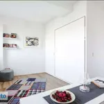 Studio of 43 m² in Florence