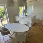 Rent 3 bedroom apartment of 90 m² in Cologne