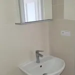 Rent 1 bedroom apartment of 22 m² in Trhový Štěpánov