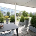 Rent 2 bedroom apartment of 105 m² in Den Haag