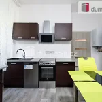 Rent 1 bedroom apartment in Cheb