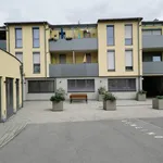 Rent 3 bedroom apartment of 68 m² in Wilfersdorf