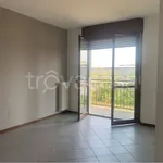 Rent 2 bedroom apartment of 56 m² in Cardano al Campo