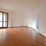 Rent 3 bedroom apartment of 124 m² in San Donato Milanese