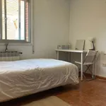 Rent a room in madrid