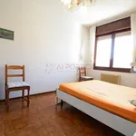 Rent 2 bedroom apartment of 50 m² in Adria