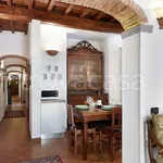 Rent 3 bedroom apartment of 70 m² in Firenze