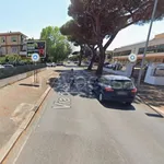 Affitto 1 camera appartamento di 20 m² in Roma