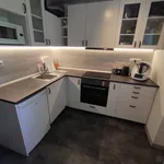 Rent 1 bedroom apartment in Vsetín