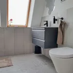 Rent 1 bedroom apartment of 50 m² in berlin