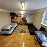 Rent 10 bedroom house of 280 m² in Włocławek