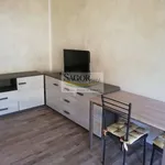 Rent 2 bedroom apartment of 76 m² in Perosa Argentina