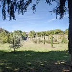 Single family villa Strada Provinciale Ariana, Macere, Artena