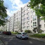 Rent 1 bedroom apartment of 36 m² in Dresden