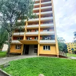 Rent 1 bedroom apartment in Opava