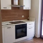 2-room flat via Roma, Centro, Cesano Boscone