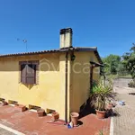 Rent 5 bedroom house of 200 m² in Grottaferrata