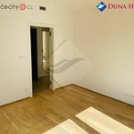 Rent 2 bedroom apartment of 66 m² in Praha - Karlín