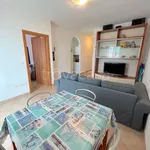 Rent 2 bedroom apartment of 55 m² in Riccione