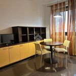 Rent 1 bedroom apartment of 45 m² in Modena