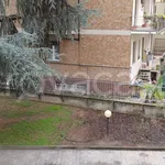 Rent 2 bedroom apartment of 60 m² in Novara