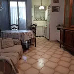 Rent 3 bedroom apartment of 80 m² in Turin