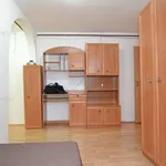 Rent 1 bedroom apartment of 26 m² in Timisoara