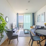 Miete 1 Schlafzimmer wohnung von 484 m² in vienna