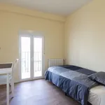 Rent a room of 65 m² in madrid