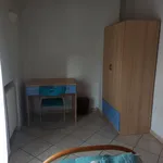 Rent 4 bedroom apartment in Bologna