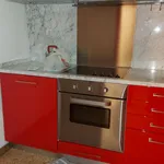 Rent 1 bedroom apartment of 100 m² in Padova