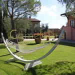 Rent 3 bedroom apartment of 75 m² in Volterra