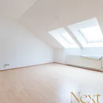 Rent 2 bedroom apartment of 50 m² in Linz