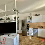 Rent 1 bedroom apartment in Jablonec nad Nisou