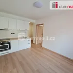 Rent 2 bedroom apartment of 33 m² in Prague