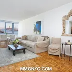 Rent 2 bedroom house in New York