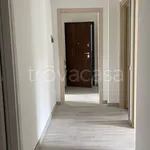 Rent 3 bedroom apartment of 100 m² in Pregnana Milanese