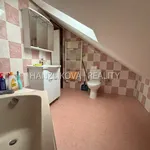 Rent 1 bedroom apartment in České Budějovice