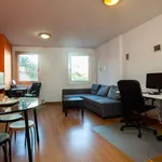 Rent 1 bedroom apartment in Lisbon